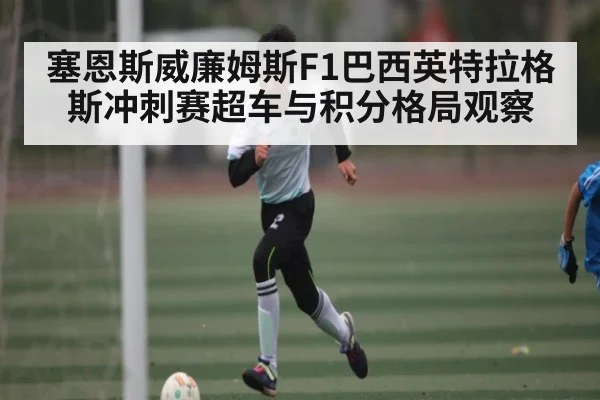塞恩斯威廉姆斯F1巴西英特拉格斯冲刺赛超车与积分格局观察 | www.c7c7.app